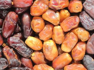 Dates from the Journey