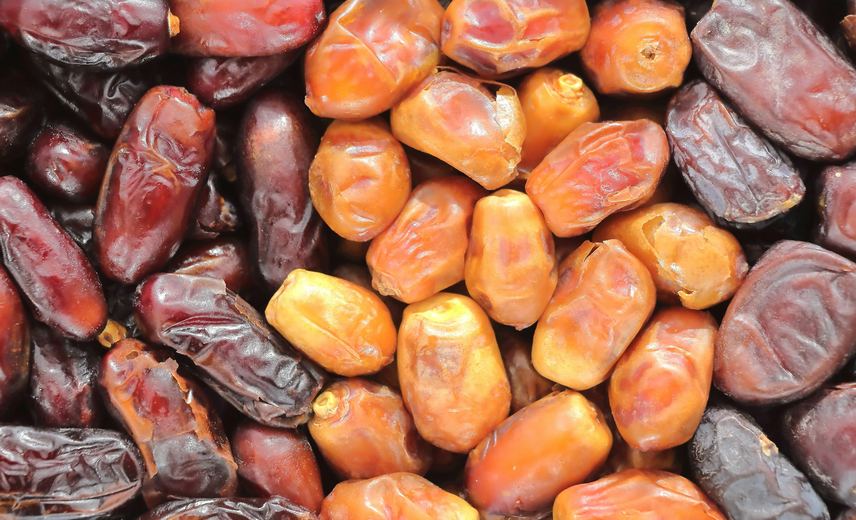 Dates from the Journey